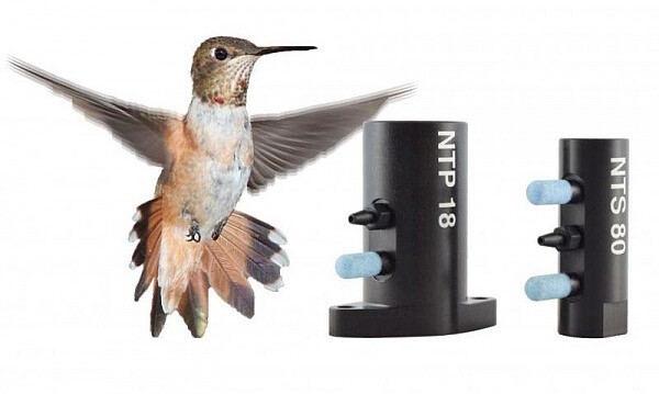 Hummingbird.jpg [42.43 KB]