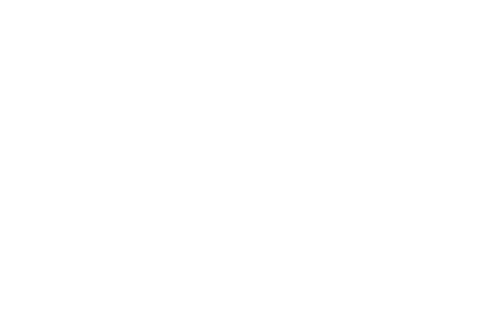 TwK-logo(white).png [30.61 KB]